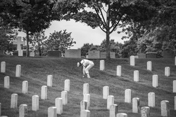 Modified Military Funeral Honors with Funeral Escort are Conducted for U.S. Navy Lt. Demarest Lloyd in Section ML [Image 3 of 14]