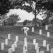 Modified Military Funeral Honors with Funeral Escort are Conducted for U.S. Navy Lt. Demarest Lloyd in Section ML