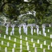 Modified Military Funeral Honors with Funeral Escort are Conducted for U.S. Navy Lt. Demarest Lloyd in Section ML