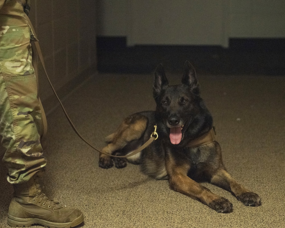 Security Force K9s conduct late-night training