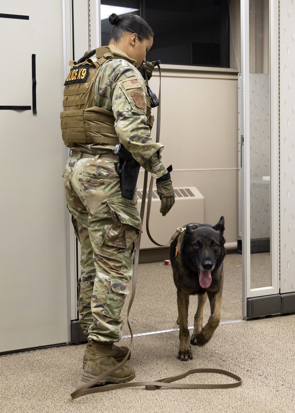 Security Force K9s conduct late-night training