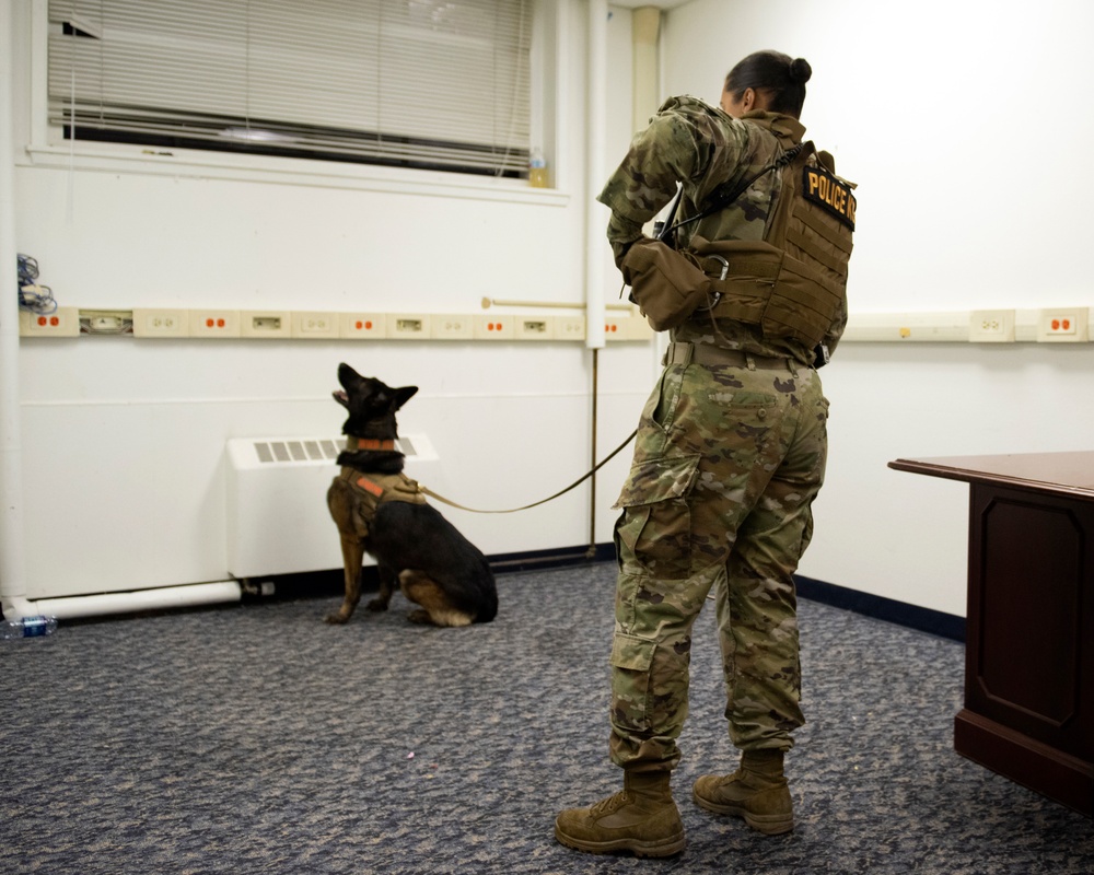 Security Force K9s conduct late-night training