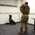 Security Force K9s conduct late-night training