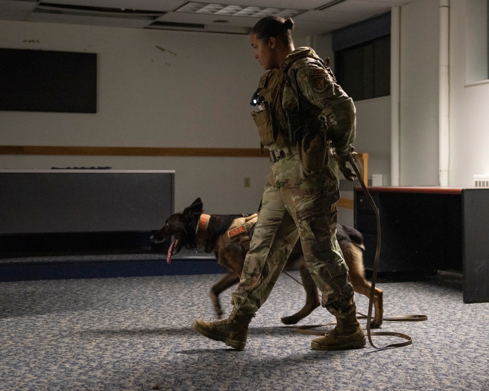 Security Force K9s conduct late-night training