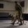 Security Force K9s conduct late-night training