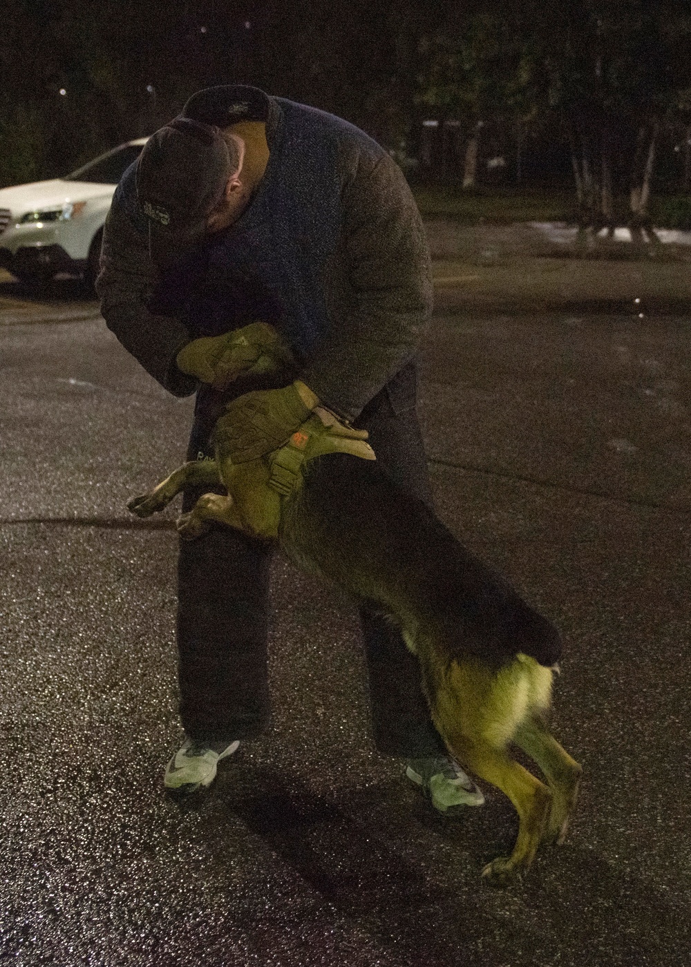 Security Force K9s conduct late-night training