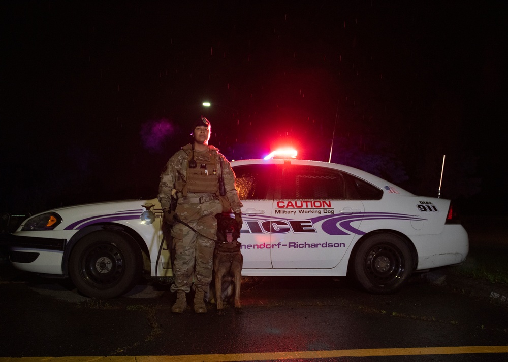 Security Force K9s conduct late-night training