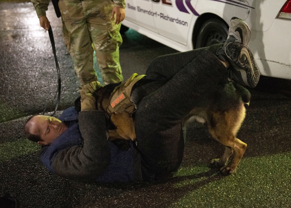 Security Force K9s conduct late-night training