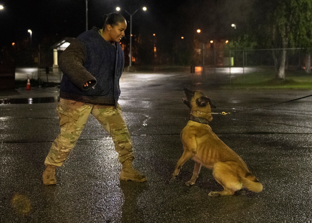 Security Force K9s conduct late-night training