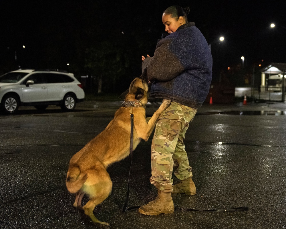 Security Force K9s conduct late-night training