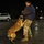 Security Force K9s conduct late-night training