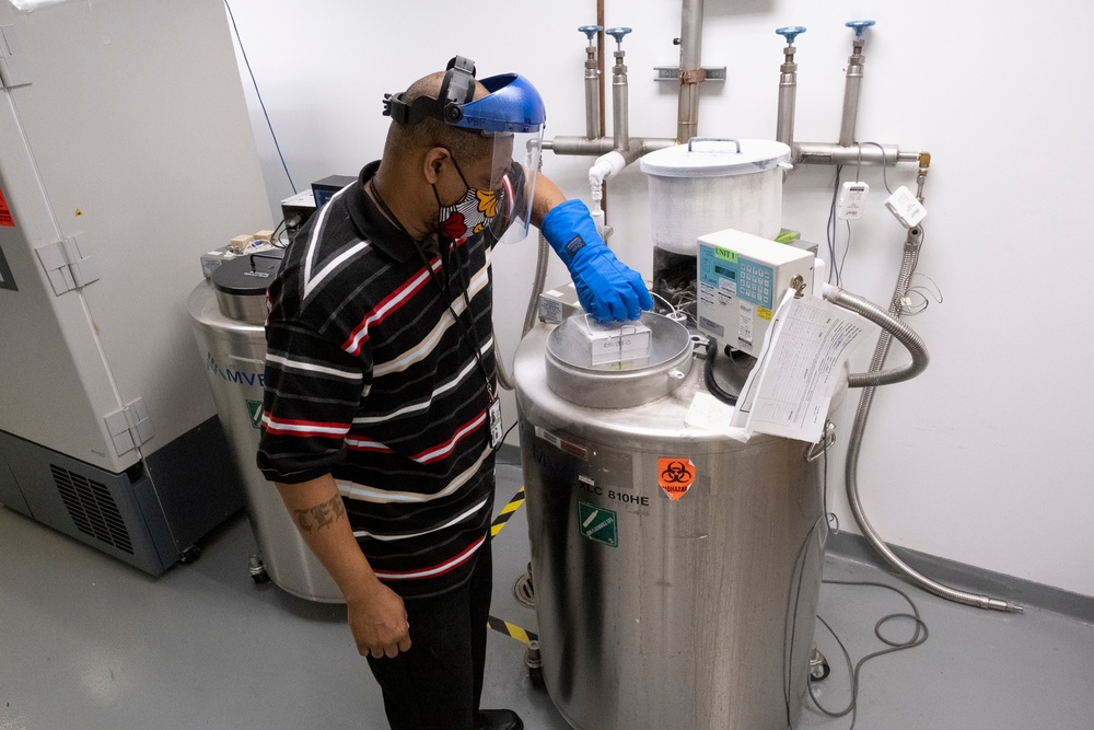 From a single small vial, the manufacture of the Walter Reed Army Institute of Research (WRAIR), COVID-19 Vaccine begins.