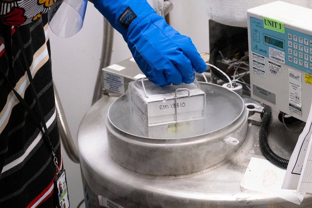 From a single small vial, the manufacture of the Walter Reed Army Institute of Research (WRAIR), COVID Vaccine begins