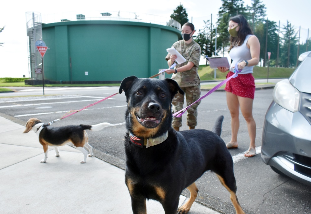 Trust allows Camp Zama veterinary team to accomplish mission under COVID-19