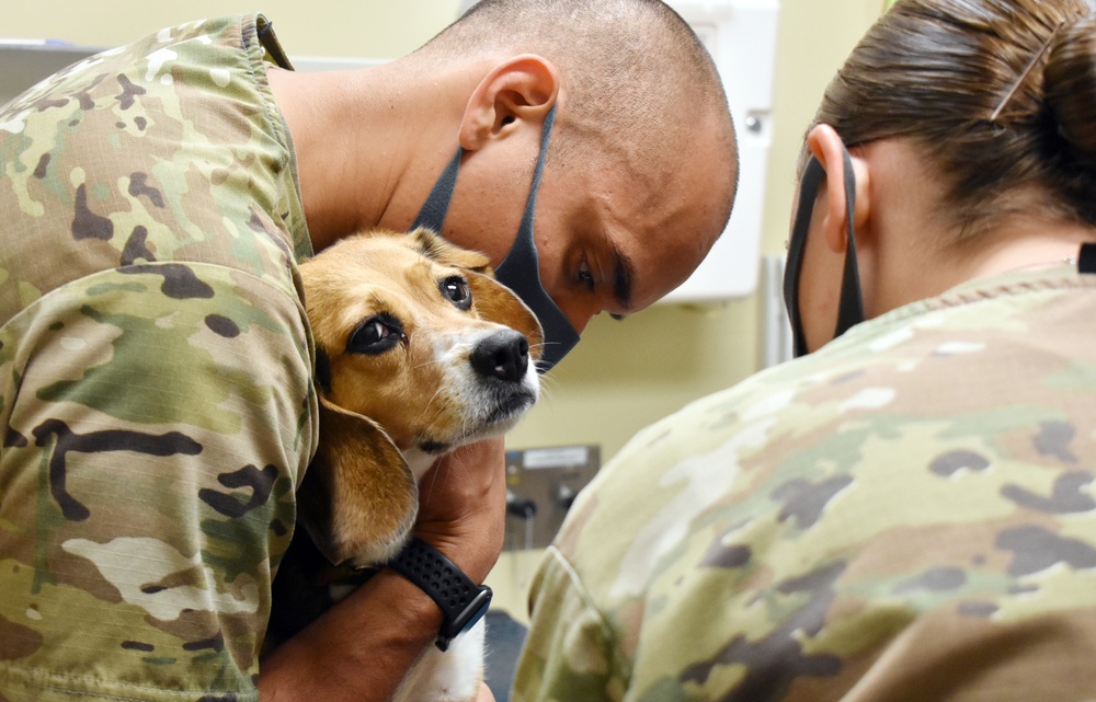 Trust allows Camp Zama veterinary team to accomplish mission under COVID-19