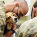 Trust allows Camp Zama veterinary team to accomplish mission under COVID-19