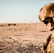 2-508th Brutal Company Mortar Live Fire Exercise