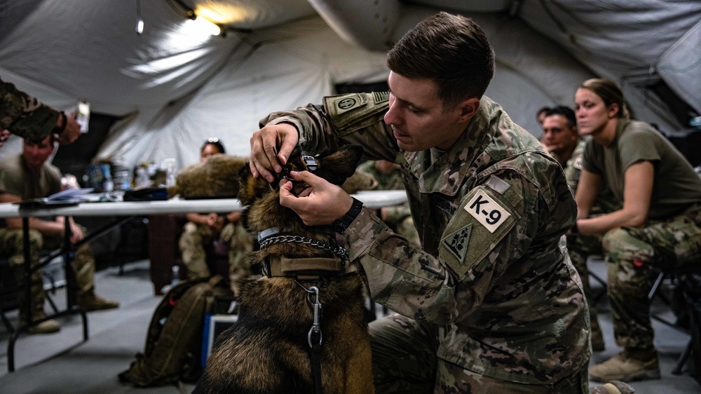 949th Medical Detachment conducts Military Working Dog (MWD) veterinary training.