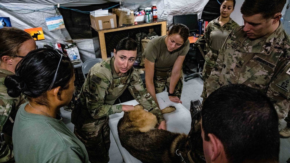 949th Medical Detachment conducts Military Working Dog (MWD) veterinary training.