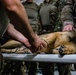 949th Medical Detachment conducts Military Working Dog (MWD) veterinary training.