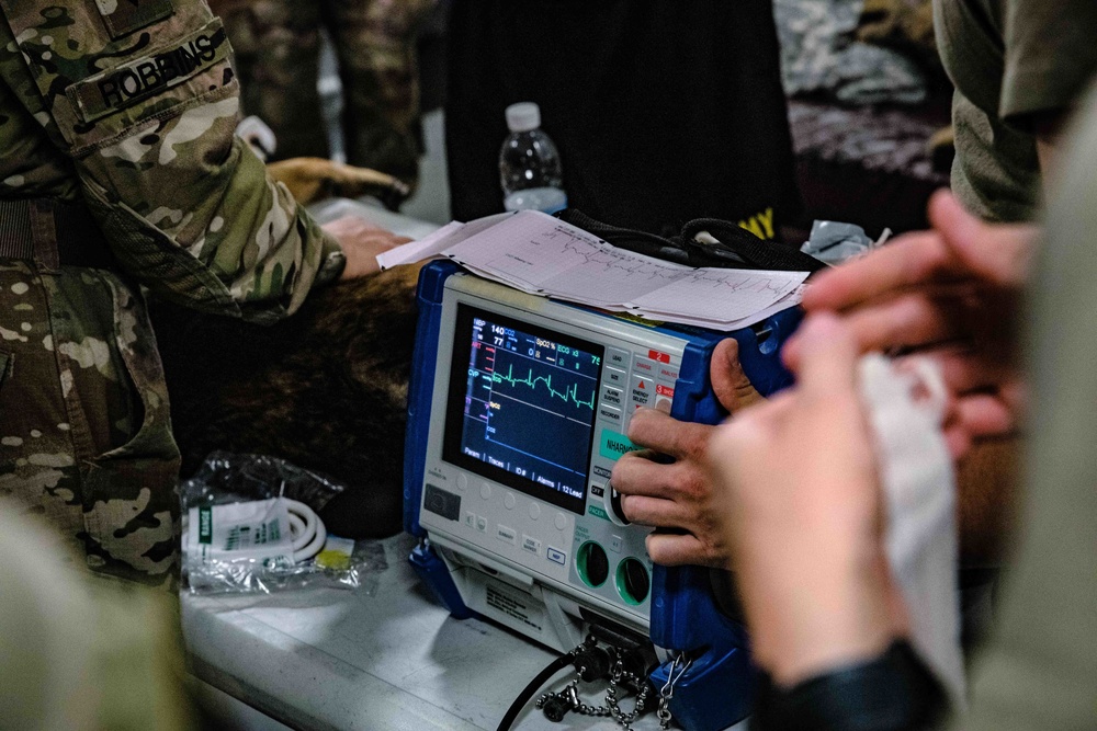 949th Medical Detachment conducts Military Working Dog (MWD) veterinary training.