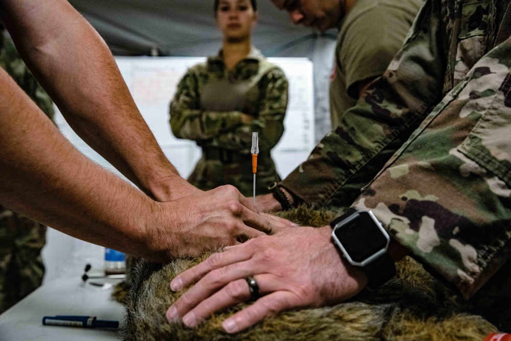 949th Medical Detachment conducts Military Working Dog (MWD) veterinary training.