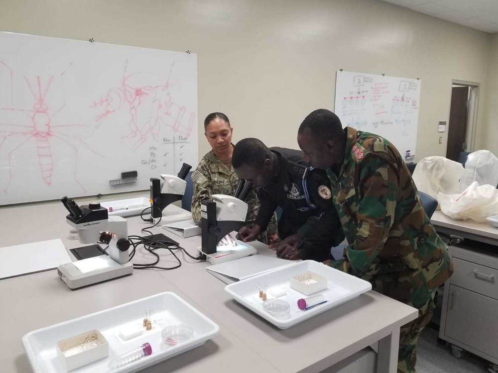 Navy Entomology Center Supports African Partners In Fight Against Malaria