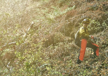 JTF Rattlesnake builds safety around Carmel Fire perimeter