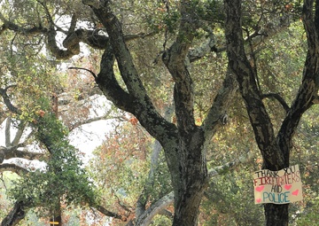 JTF Rattlesnake builds safety around Carmel Fire perimeter