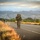 USARPAC BWC 2020: Hawaii, 25th ID Soldiers participates in a 12 mile ruck march