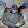 NMCP Focuses on Training and Readiness with Surgical Courses NMCP Focuses on Training and Readiness with Surgical Courses