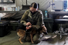 MDVSS Field Exercise