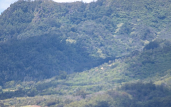 Warbirds Arrive to Wheeler Army Airfield for the 75th Commemoration of the End of WWII