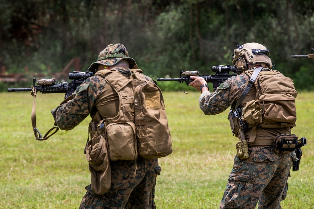 Task Force Ellis | Live Fire Training