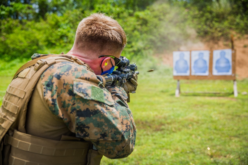 Task Force Ellis | Live Fire Training