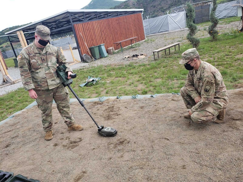 RC-E EOD and Maneuver Battalion conduct metal detector training
