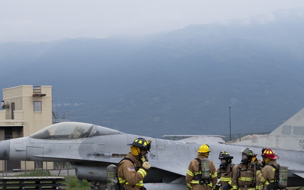 31 FW, 52nd FW conduct CDDAR training