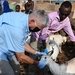 U.S., Djiboutian veterinarians partner to treat local livestock