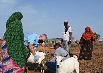 U.S., Djiboutian veterinarians partner to treat local livestock