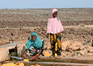 U.S., Djiboutian veterinarians partner to treat local livestock