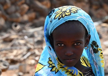 U.S., Djiboutian veterinarians partner to treat local livestock