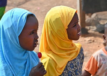 U.S., Djiboutian veterinarians partner to treat local livestock