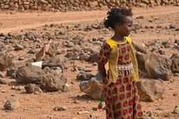 U.S., Djiboutian veterinarians partner to treat local livestock