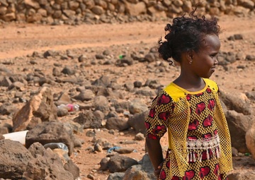 U.S., Djiboutian veterinarians partner to treat local livestock