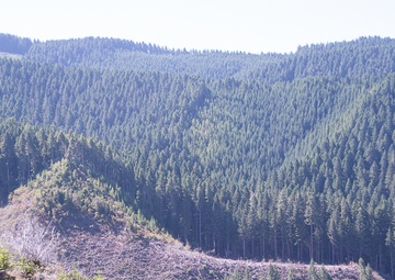 Coast Guard inland search and rescue land navigation training