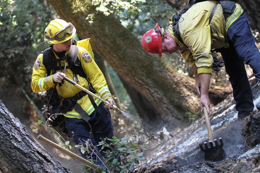 Cal Guard TF Rattlesnake contains CZU Lightning Complex Fire