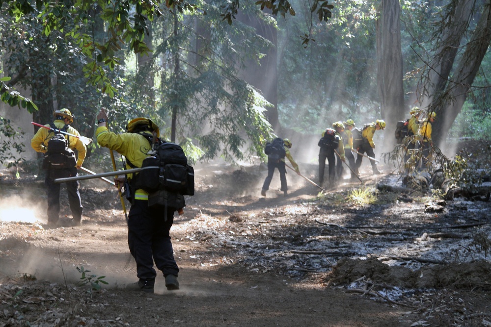 Cal Guard TF Rattlesnake contains CZU Lightning Complex Fire