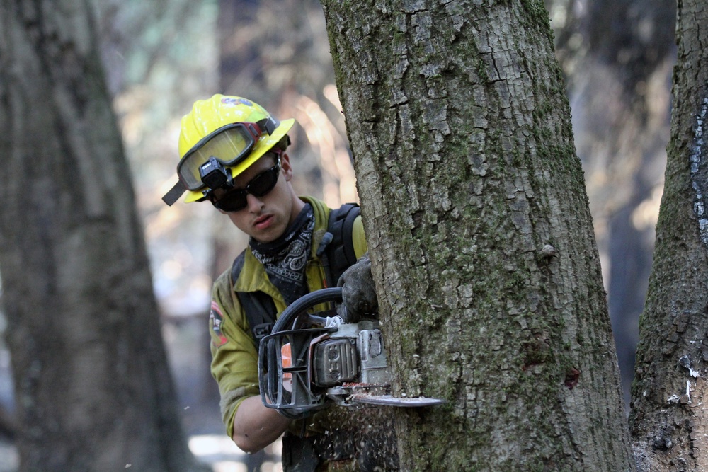 Cal Guard TF Rattlesnake contains CZU Lightning Complex Fire