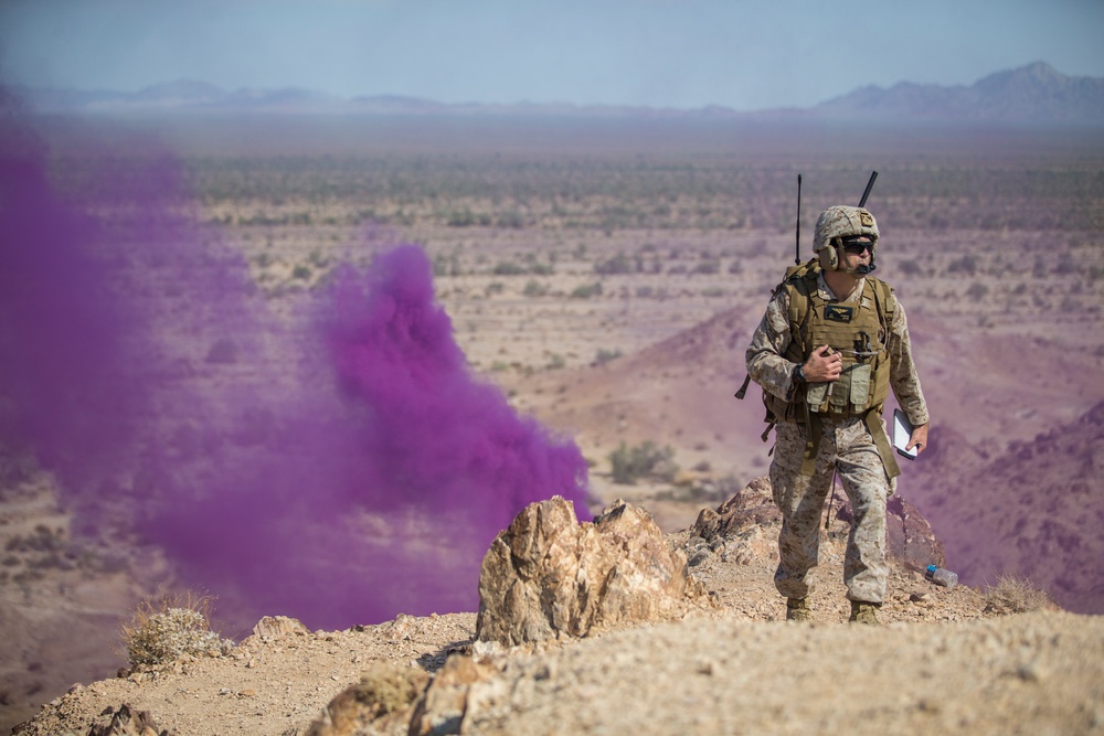 Purple Haze