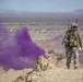 Purple Haze